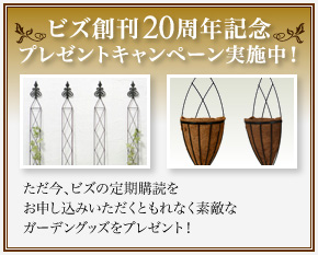 ビズ創刊20周年記念 プレゼントキャンペーン実施中！