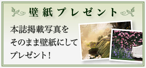 壁紙プレゼント
