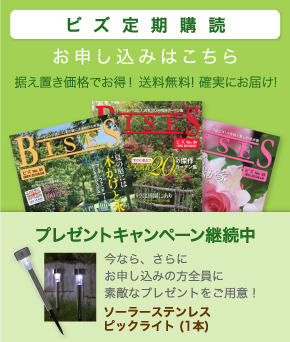 ビズ定期購読　お申し込みはこちら