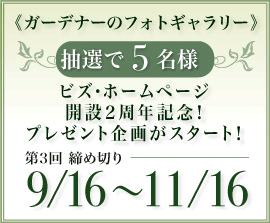 プレゼントキャンペーン終了