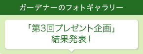 ガーデナーのフォトギャラリー
第3回プレゼント企画 結果発表！