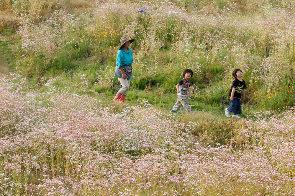 3.11 Garden Charity