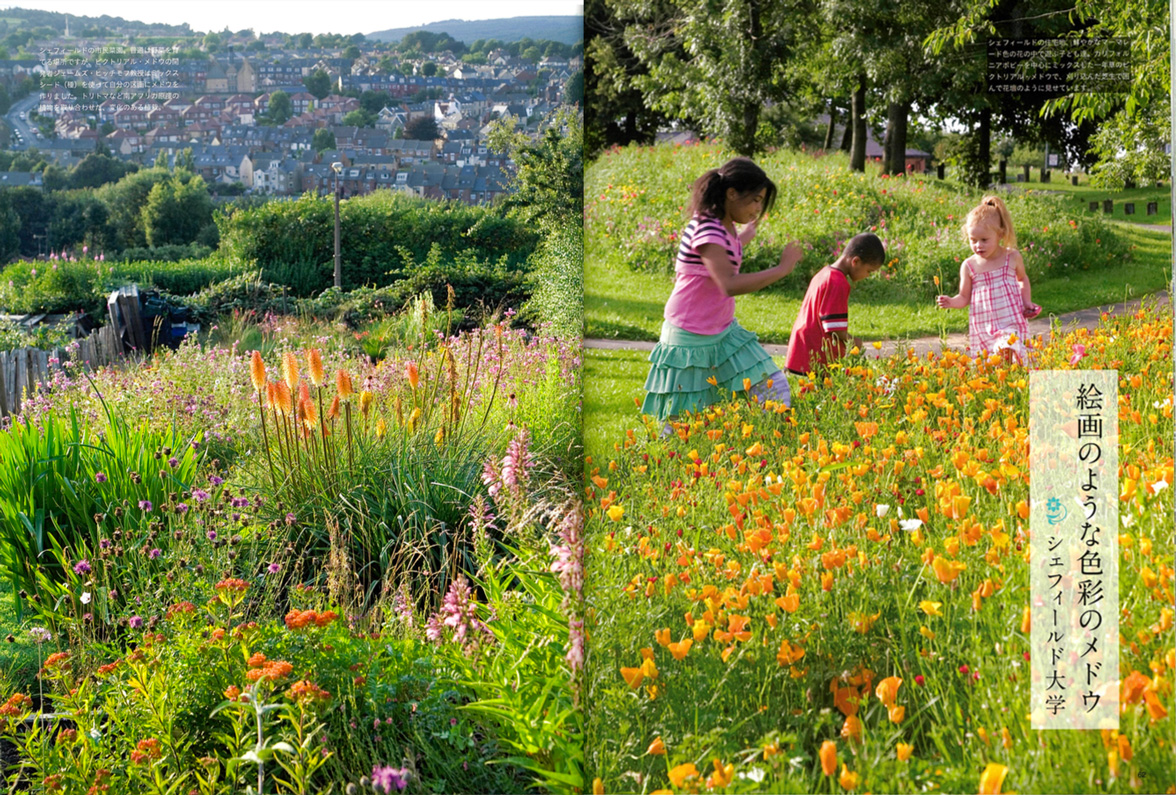 3.11 Garden Charity