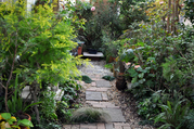 garden1106a.jpg