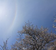 IMG_1067.JPG