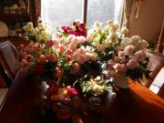 DSCN3477.JPG