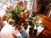 DSCN3488.JPG
