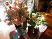 DSCN3489.JPG
