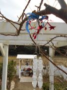 DSCN3533.JPG