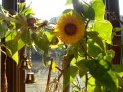 DSCN3543.JPG