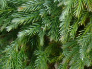 P1050447.JPG