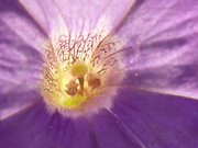 P1080320.JPG