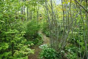 DSC_0480.JPG