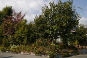 P1020745.JPG