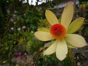 P1070646.JPG