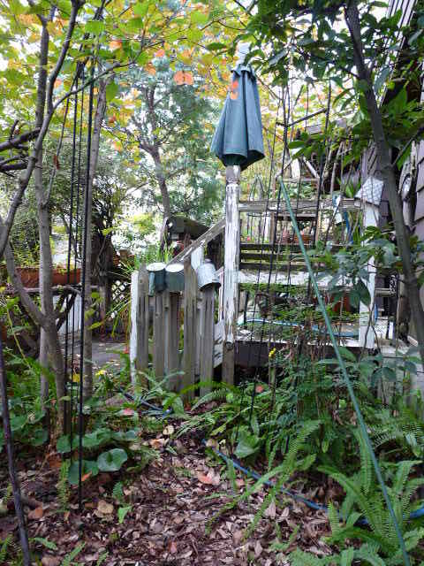 泉佐野の雑木林 ここにもホースっ いっぺいさんの庭 花 ガーデン写真集 みんなのガーデニング写真集