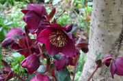 DSC03023.JPG