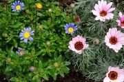 DSC03062.JPG