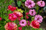 DSC03299.JPG