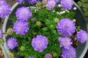 DSC03426.JPG