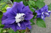 DSC03430.JPG