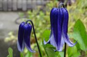 DSC03435.JPG