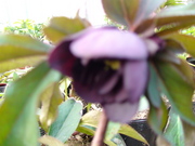 DSC01771.JPG
