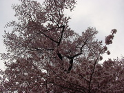 DSC01821.JPG