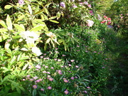 DSC01957.JPG