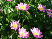 DSC01959.JPG
