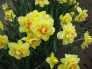 IMG_1085.JPG
