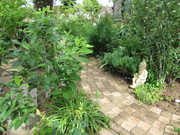 IMG_0402.JPG