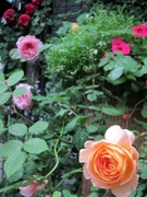 IMG_5831_28480x64029.jpg
