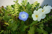 P1080004.JPG