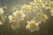 __IGP6092.jpg