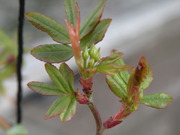 DSCN2064.JPG