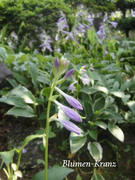 m-DSC03324.jpg