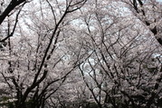 IMG_0655.JPG