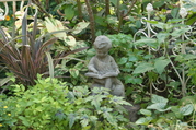 010.JPG