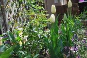 2011041928.JPG