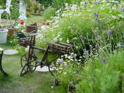 DSC00013.JPG