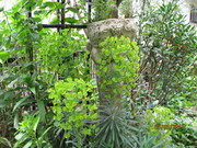 IMG_0739.JPG