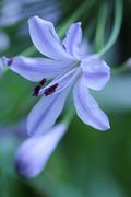IMG_9440_R.JPG