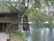 IMG_1024.JPG