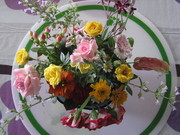 IMG_1028_0.JPG