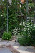 20130513_15.JPG