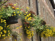 DSCF0777.JPG
