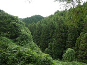 P1000162.JPG