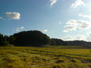 P1050227.JPG