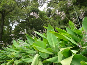 P1050241.JPG